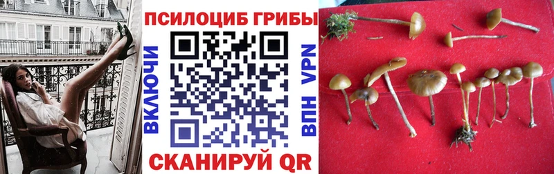 как найти   Кириши  ОМГ ОМГ маркетплейс  Галлюциногенные грибы Magic Shrooms 